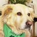 Profile Picture of Cathy Kimball (@cathy.kimball.56) on Facebook