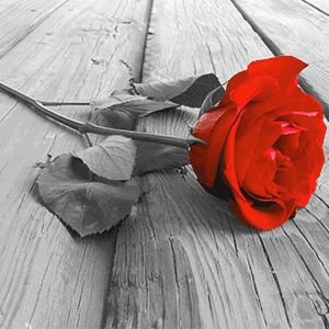 Profile Picture of عبود العراقي (@2QI3jJ46XIA94NN) on Twitter