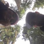 Profile Picture of Luke Ramsay (@dailysailor) on Instagram