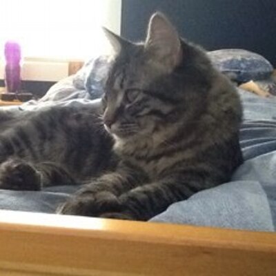 Profile Picture of Casey Hopper (@hoppyhops02) on Twitter