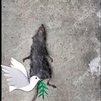 Profile Picture of Tim McCheese (@Tim-McCheese) on Facebook