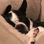 Profile Picture of Jill Wanamaker (@jill.wanamaker.7) on Facebook