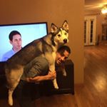Profile Picture of Craig Hendricks (@craigjhendricks) on Instagram