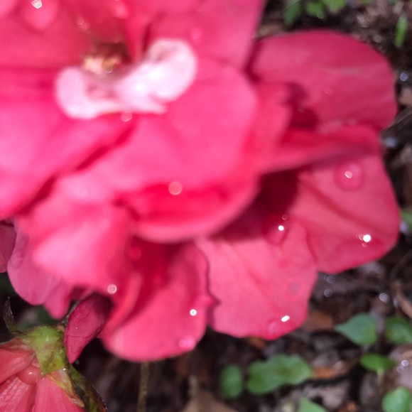 Profile Picture of Dakota Philmon (@dakotaphilmon) on Poshmark