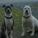 Randall Joyner - Instagram Profile Picture of Randall Joyner (@joynerrandall63) on Instagram