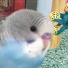Profile Picture of Diamond Baker (@@diamondbaker6) on Tiktok