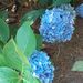 Profile Picture of Alice Goode (@alicebgoode) on Pinterest