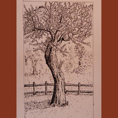 Profile Picture of Bondcliff (@bondcliff) on Twitter