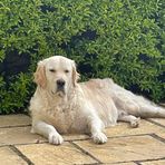 Profile Picture of Mark Notley (Syd) (@mark.notley.39) on Facebook