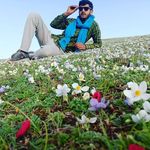 Profile Picture of Tariq Mughal (@_tariq___mughal__official) on Instagram