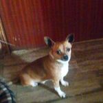 Profile Picture of mavromatis george (@firestorm05c) on Instagram