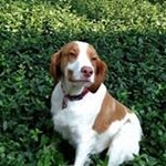 Profile Picture of Rita Eish Hoyt (@ritamhoyt) on Instagram