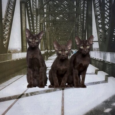 Profile Picture of Jim Ghrist (@jimghrist) on Twitter