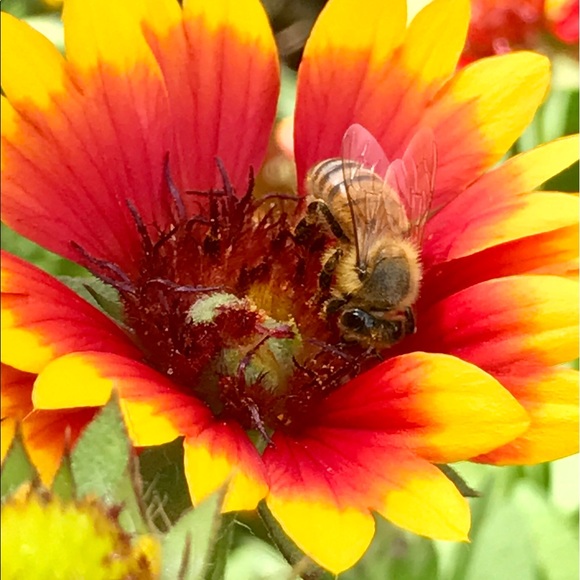 Profile Picture of Laurie Russell (@laurier283) on Poshmark