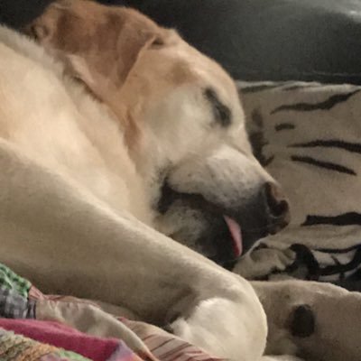 Profile Picture of Keith (@keith_busch1) on Twitter