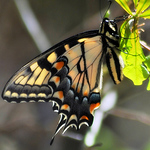 Profile Picture of j.57.smith (@j.57.smith) on Flickr