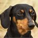 Profile Picture of Teresa Haller (@teresa.haller.1) on Facebook