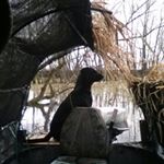 Profile Picture of shane_mcbride_1 (@shane_mcbride_1) on Instagram