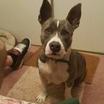 Profile Picture of Jerry Graves (@jerry.graves.773) on Instagram