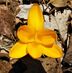 Profile Picture of Lea Hardwick (@lea.hardwick.3557) on Facebook