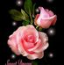 Profile Picture of Rita Gharami (@rita.gharami.1) on Facebook