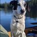 Profile Picture of Hazel Garrison (@hazelsgarrison) on Pinterest