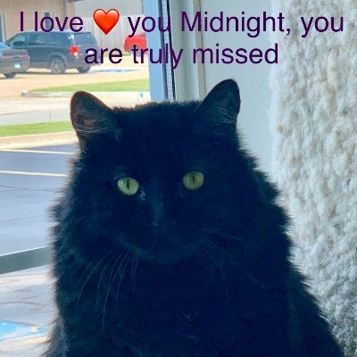 Profile Picture of Jerry Larsen (@Jeral999ok) on Twitter