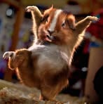 Profile Picture of Paul Kleinfeld (@paul.kleinfeld.1) on Facebook