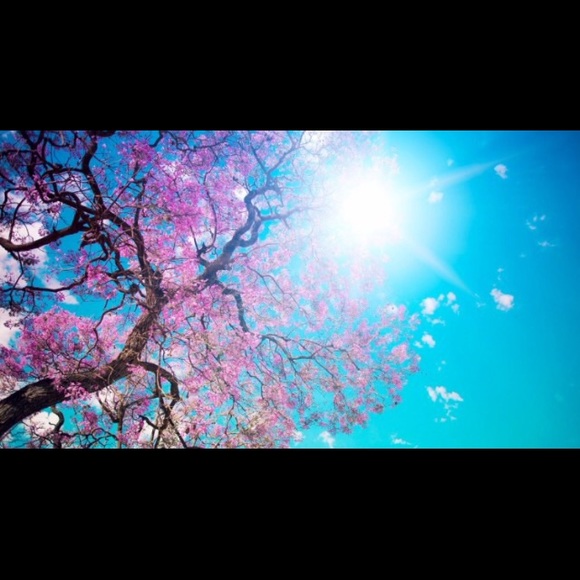 Profile Picture of Kate Gamboa (@crazy_kate0126) on Poshmark