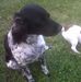 Profile Picture of Mathis Holleville (@mathis.holleville) on Facebook