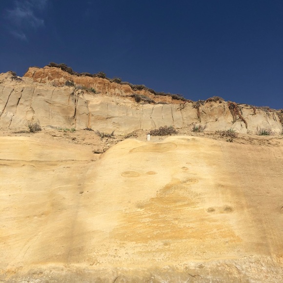 Profile Picture of Catherine Wortel (@cmw412) on Poshmark