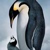 Profile Picture of Nathaniel Pfeiffer (@@user8600770319505) on Tiktok