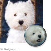 Profile Picture of Daniel Montero Orio (@daniel.montero.orio) on Facebook