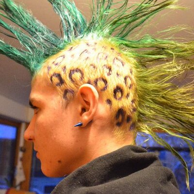 Profile Picture of Linus Rapp (@RappLinus) on Twitter