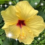 Profile Picture of Debbie Willcox Robertshaw (@owen.5959) on Instagram