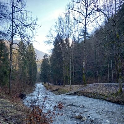 Profile Picture of Gobert Julia (@GobertJulia2) on Twitter