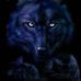 Profile Picture of Paul Pytel (@paul.pytel.5) on Facebook