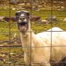 Profile Picture of Aaron Heil (@abheil2019) on Pinterest