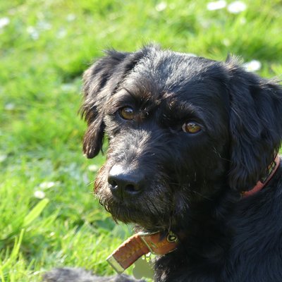 Profile Picture of Sandra Starkey (@SandraStarkey8) on Twitter