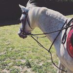 Profile Picture of Alexandra Blackstone (@alex_oakhouse) on Instagram