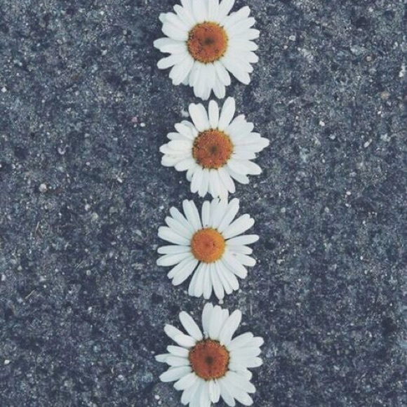 Profile Picture of Amanda Perrin (@amandleighp) on Poshmark