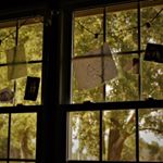 Profile Picture of Tyler Vestal (@_coffee_breath_) on Instagram