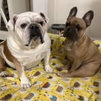 Profile Picture of Joanie LowellCollins (@joan.lowellcollins) on Facebook