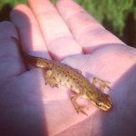 iannauhite - Instagram Profile Picture of iannauhite (@iannauhite) on Instagram