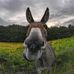 Profile Picture of Paul Stoeckle (@paul.stoeckle.3) on Facebook