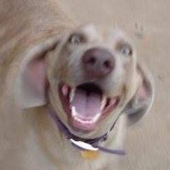 Profile Picture of Alice Miller (@twedls82175) on Poshmark