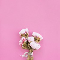 Profile Picture of Josie Schwartz (@josie-schwartz-2) on Quora