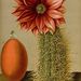 Profile Picture of vincent lloyd (@lloyd1478) on Pinterest