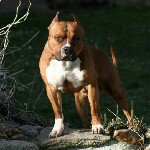 Profile Picture of damir_baric (@damir_baric) on Instagram