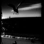 Profile Picture of christopher_perlman (@christopher_perlman) on Instagram